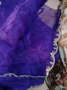 Embellished Dupatta Border