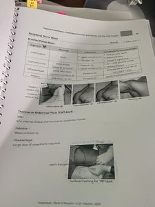 Marrow Rapid revision notes