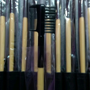 Makeup Brush Set - New in Case