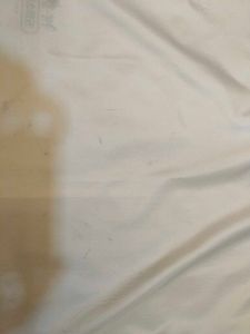 coach dust bag