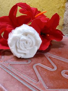Coconut Milk Soap