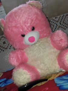 Huge Big Teddy