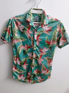 Men's Shirt Pack Of 4