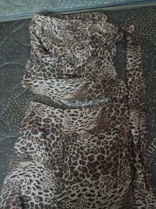 Leopard Print Two-Piece Set