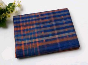 Elegant Blue Plaid Saree