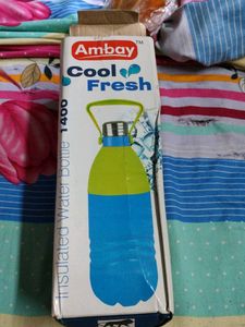 Insulated Water Bottle