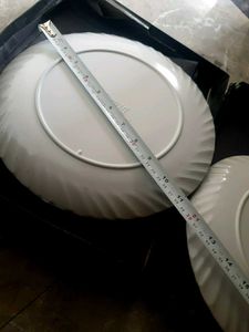 Elegant Floral Dinner Plate 2