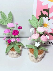 Handmade Crochet Flower Pots