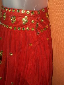 Stunning Red Embellished Skirt