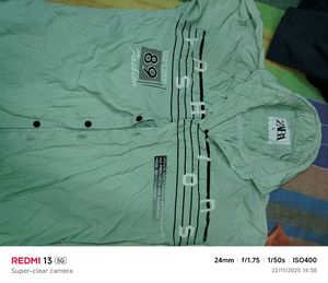 Zara Mint Green Graphic Print Shirt - L