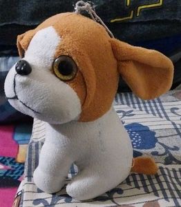 It's Toy Dog