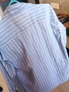 New Brand Shirt For Women