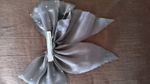 hair clip