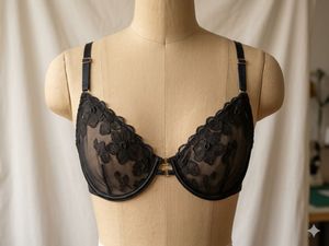 Fashion show bra collection 2