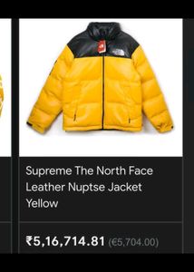 Supreme x The North Face Leather Nuptse Jacket