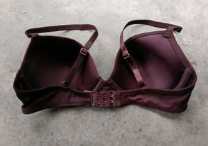 Plum Padded Bra