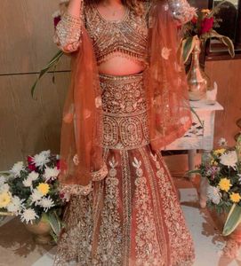 Fishcut Embroidered Lehenga for Special Occasions