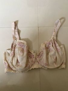 Assorted Bras - Comfortable &amp; Stylish