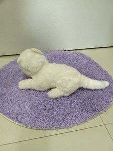 Cute White Plush Cat Toy