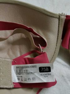 Alamode 34 B Skin Colour