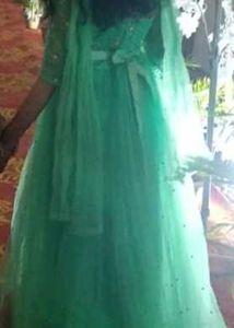 Mint Green Embellished Gown