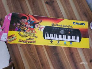 Casio Mini Keyboard - Learn & Play