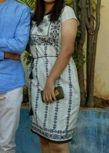 Stylish Greyish Dress with Black Embroidery