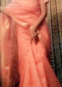 Sale 💰 🎉🎉🎉🥳🥳Peach Saree with Gold Detailing