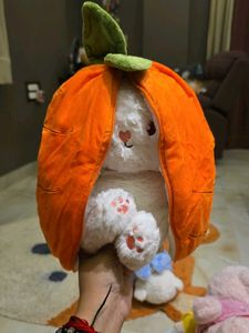 Cute Fluffy Bunny Plush Toy