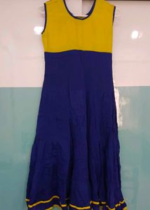 Beautiful Blue Ethnic Gown