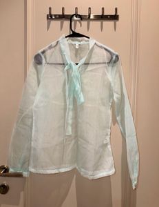 Sheer Mint Green Blouse with Tie Neck