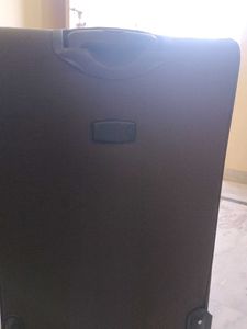 Safari Luggage Bag