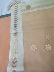 Organza Based Gotapatti Dupatta