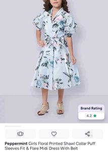 Floral Print Puff Sleeve Dress