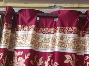 Elegant Maroon Curtains