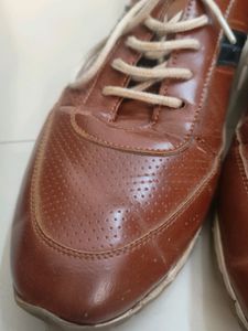 Very Nice Men's Shoes