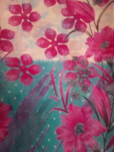Combo Of 2 Sarees For Women