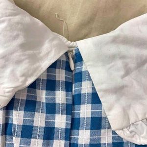 Blue Gingham Dress with Peter Pan Collar