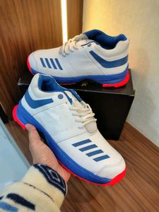 stargo cricket shoes