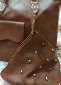 Chic Brown jimmy choo Handbag Set