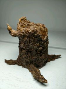 Organic Tree Bark Pen Holder 💚