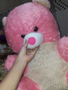 Huge Big Teddy