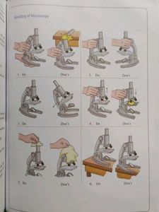 Laboratory Manual Science Class X