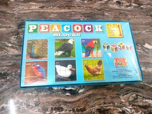 Toy Enjoy Peacock Blocks Puzzle