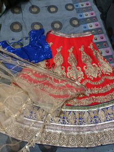 Wedding Season Special Lehanga