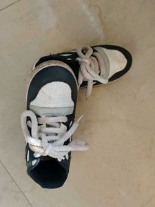 Stylish Navy &amp; White Sneakers