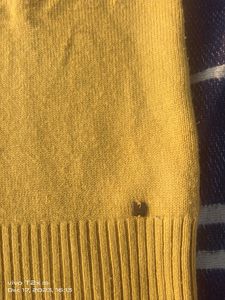 Madame Mustard Yellow Knit Zip-Up Cardigan