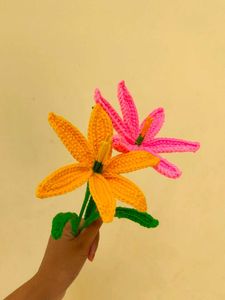 Handmade Crochet Flower Set