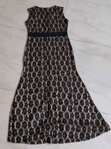 Elegant Lace Dress