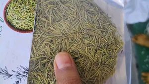 Rosemary Leaves100 Gm